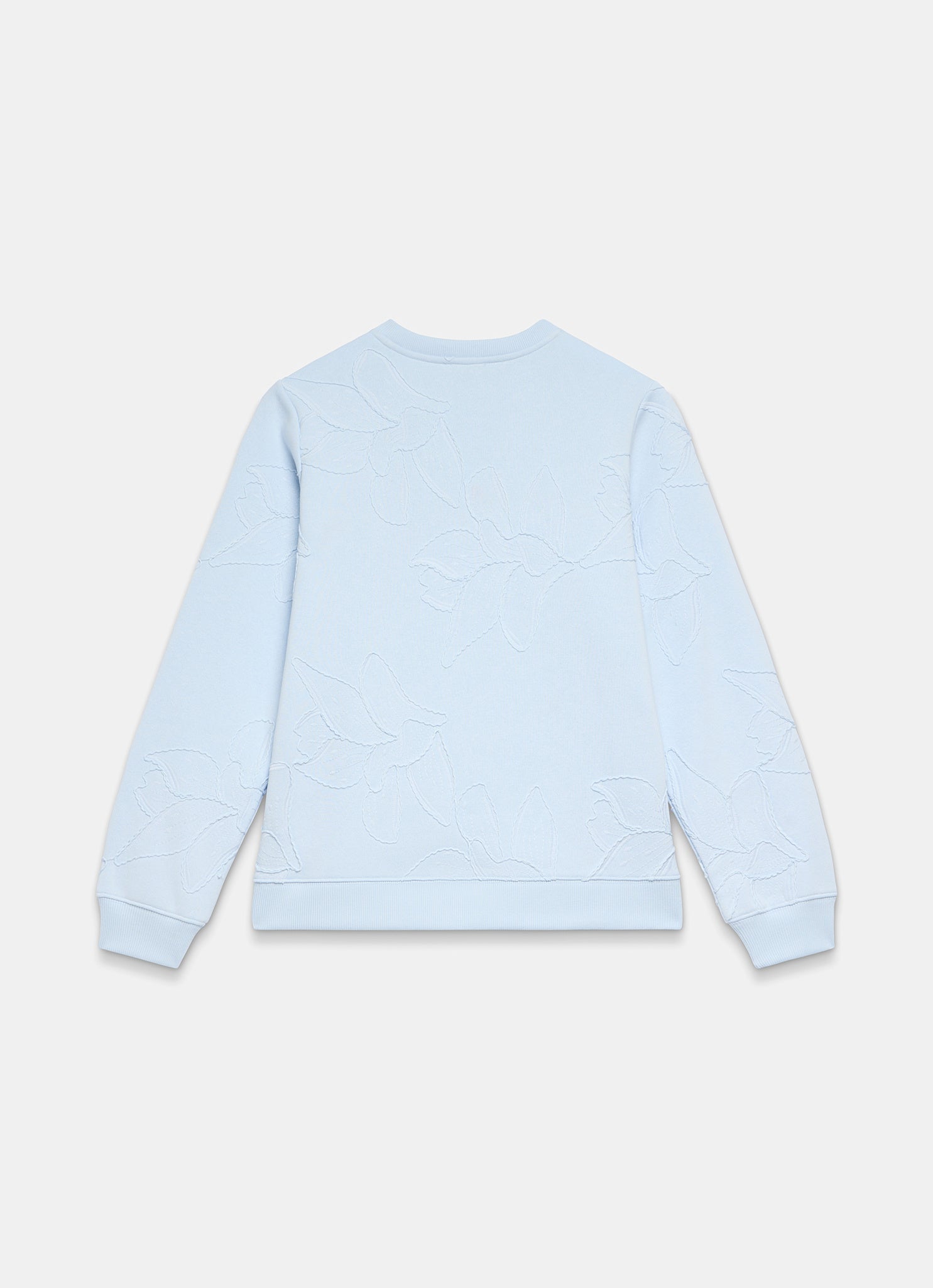Blue Embroidered Sweatshirt